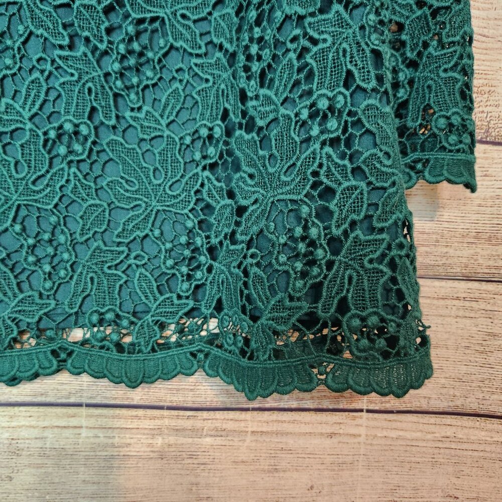 Talbots Cotton Lace Blouse Green 14P Lined NWT Hidden Side Zipper Blouse Top - Picture 16 of 16